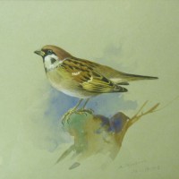  Archibald Thorburn watercolour.  Hammer: £3,000